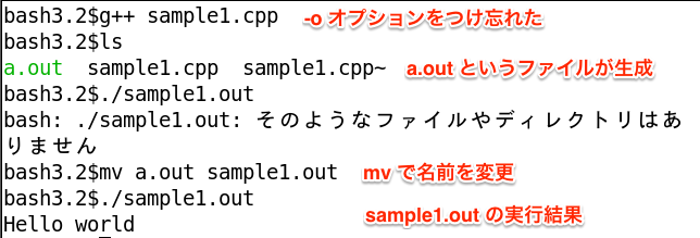 fig/shell-g++-without-option.png